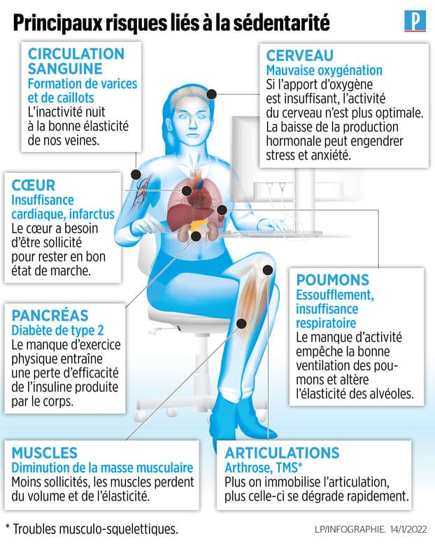 conférence sédentarité